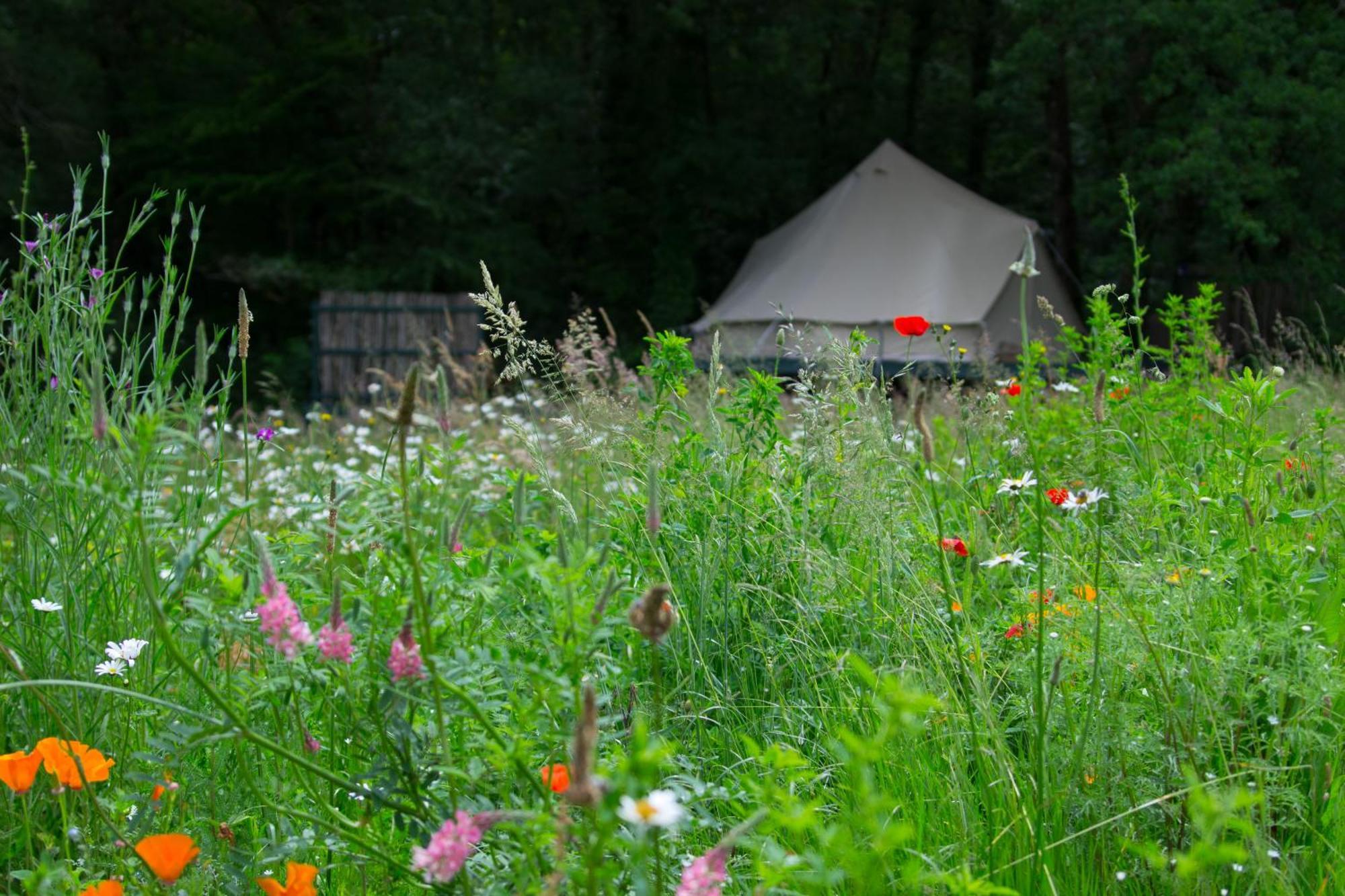 Belair Le Camping Champagnac-de-Bélair 외부 사진