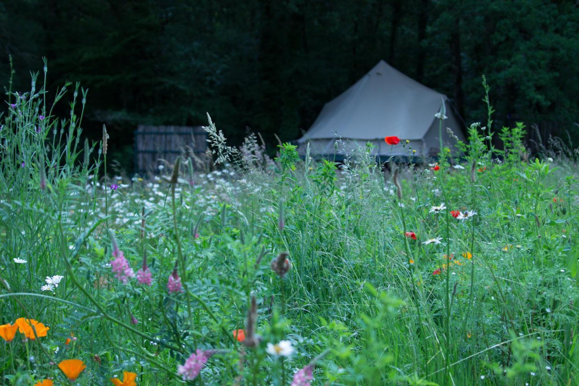 Belair Le Camping Champagnac-de-Bélair 외부 사진